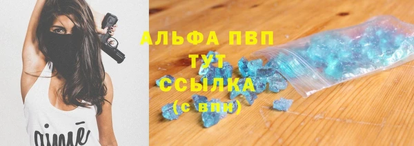 крисы Белокуриха