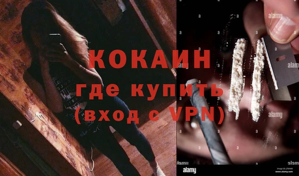 крисы Белокуриха